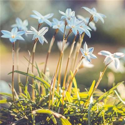 manbetx官网在线登录