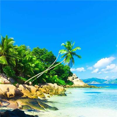 乐鱼(中国)官方网站