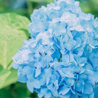 manbetx官网在线登录